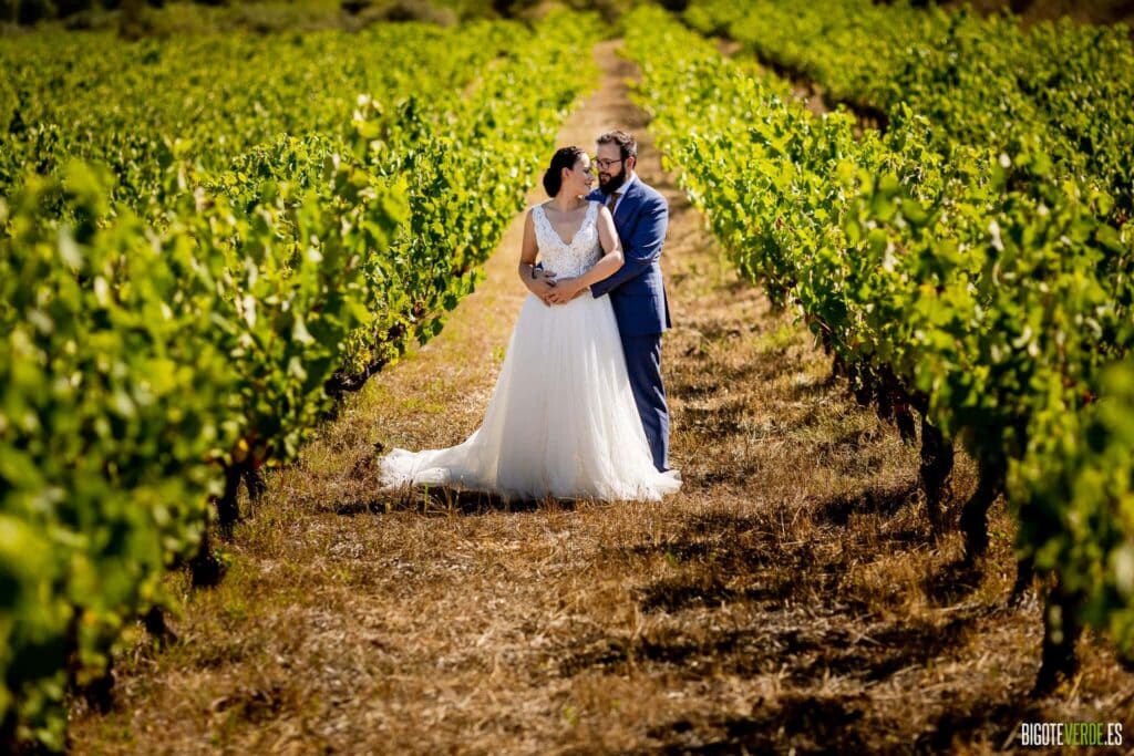 Fotografos boda alicante elche altea