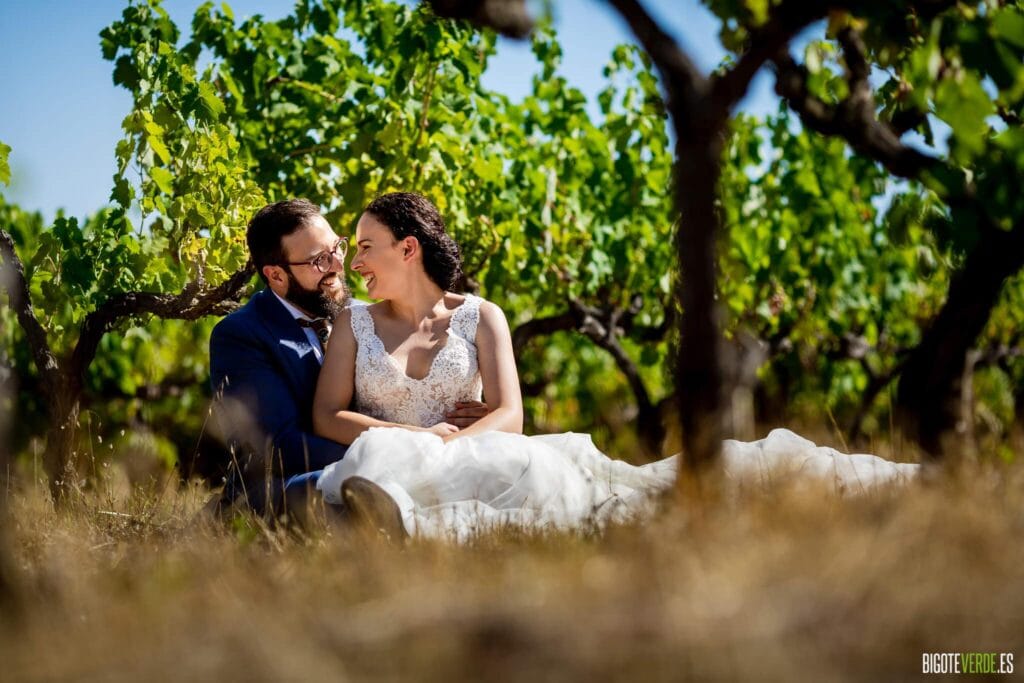 Fotografos boda alicante elche altea