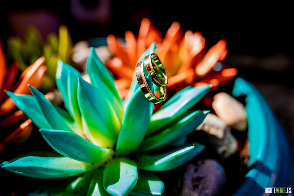 Boda fotografos boda bullas cehegin murcia