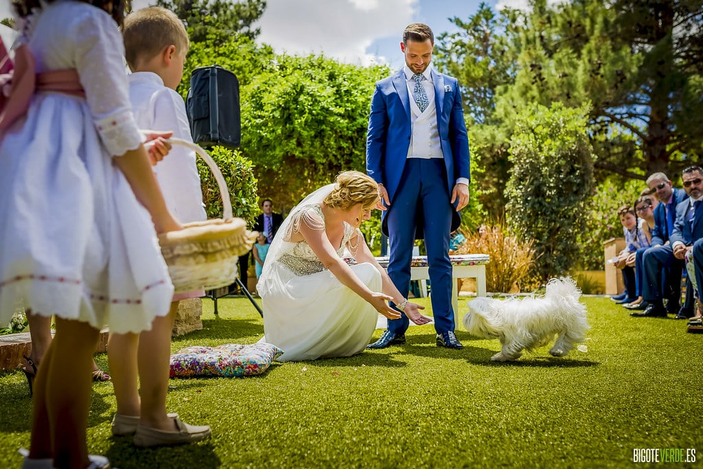 Fotografo bodas cartagena