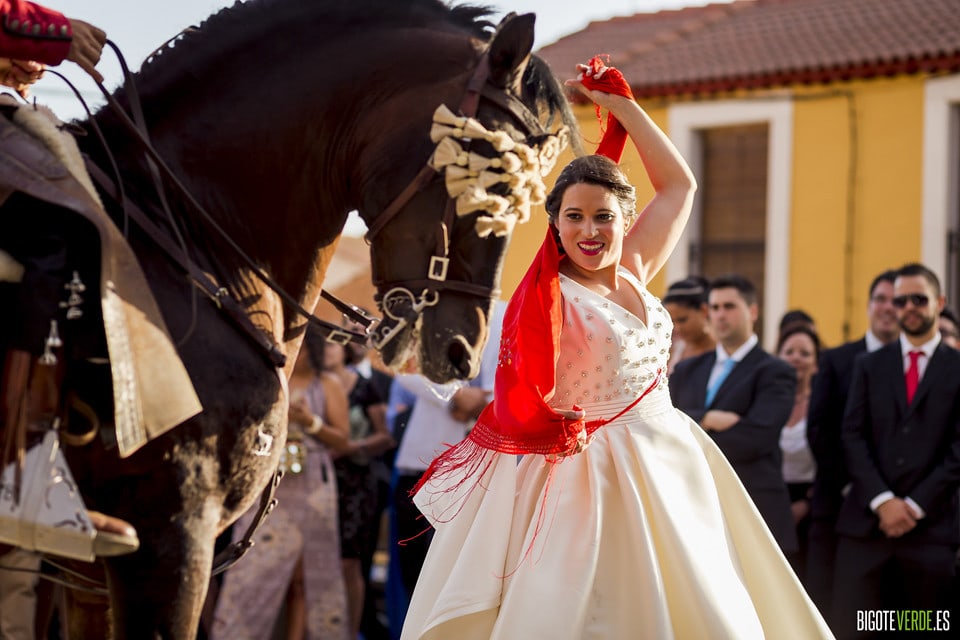 Fotografo de boda burgos