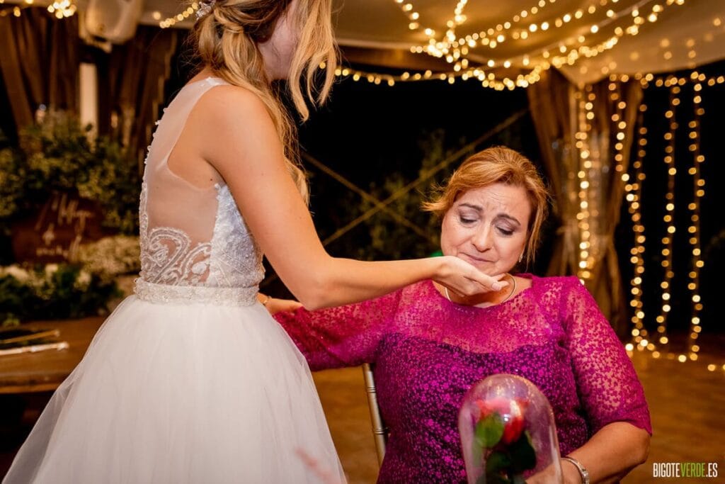 Fotografos boda elche ceremonia civil roalet de kiko