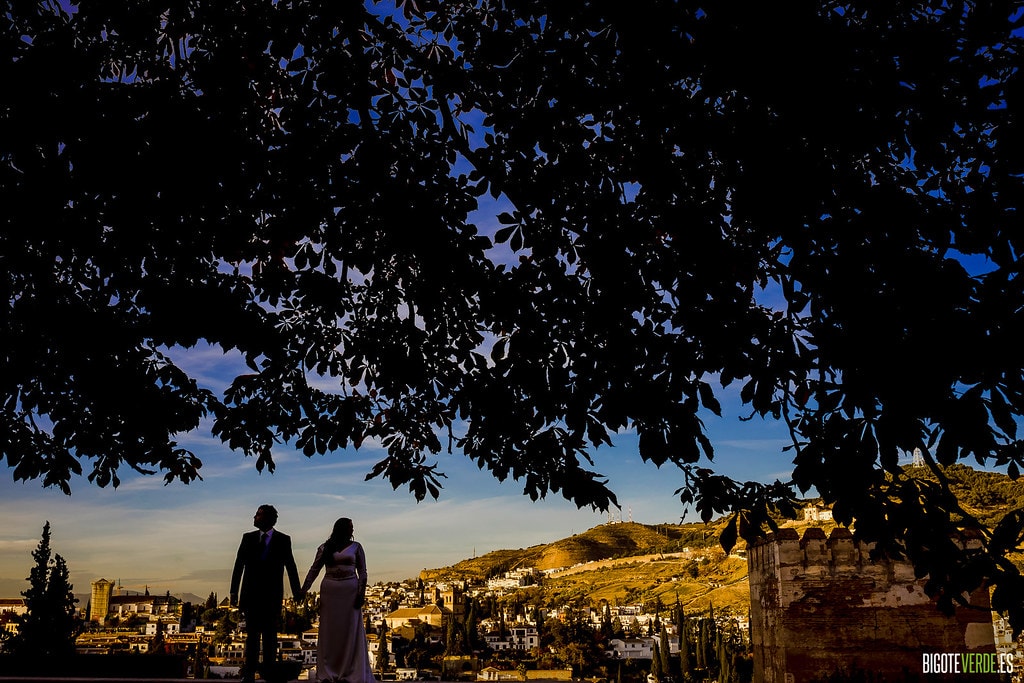Fotos boda granada alhambra fotografo profesional