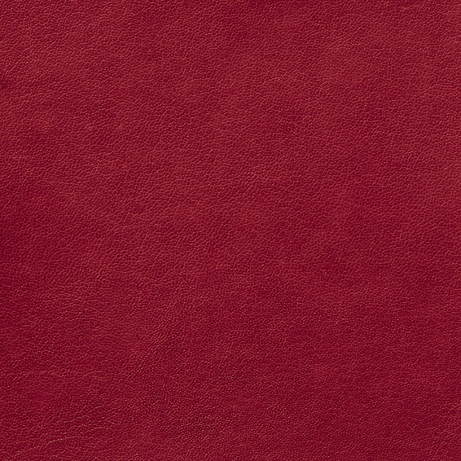 Liso Rojo Liso rojo