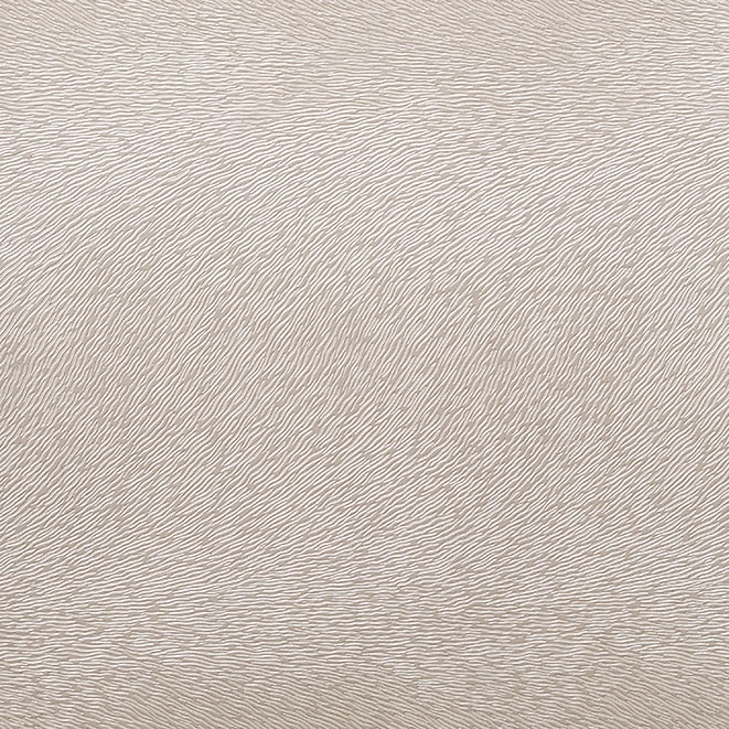 Potro Blanco Potro blanco